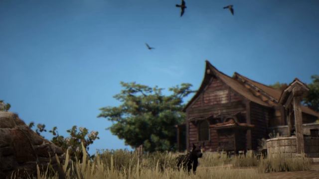 BLACK DESERT ONLINE - Tarif music смотреть онлайн