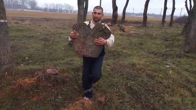 Дрова акациевые! Босиком по лесу! #temkajjot #краснодар #горячийключ #акация #лес #кореновск #босик смотреть онлайн