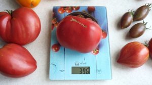 Томат Дедушкино петушиное пёрышко (Grandpa’s Coсk’s Plumе). Урожайный сорт салатных томатов!