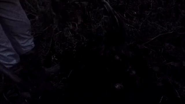 КОПАЮ КАРТОШКУ // РАЗГРЕБАЮ САРАЙ // РАДУЮСЬ ПОГОДЕ И УРОЖАЮ смотреть онлайн