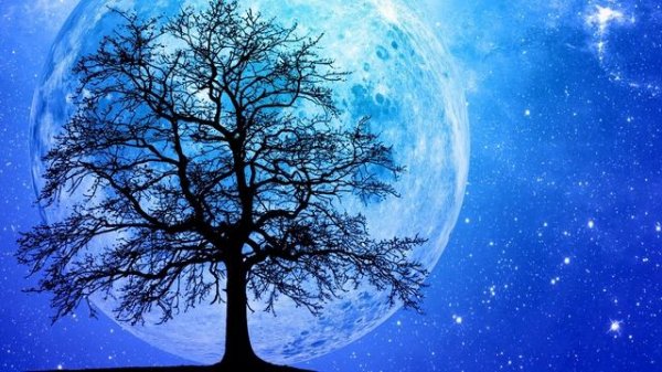 Relaxing Music for Stress Relief Calm Music for Meditation Sleep Healing and yoga