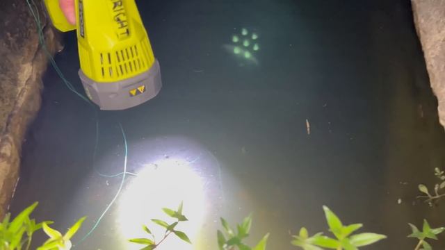 I Found a Sewer INFESTED with MONSTER AQUARIUM FISH! смотреть онлайн