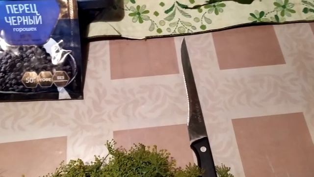 ПОДАЛИ ДОКУМЕНТЫ/ЗАПРОС В МОСКВУ/МАРИНУЮ ОГУРЦЫ/