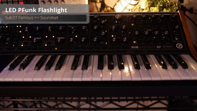 Parliament Bernie Worrell - Flashlight - Moog Sub 37 Synth Sounds смотреть онлайн