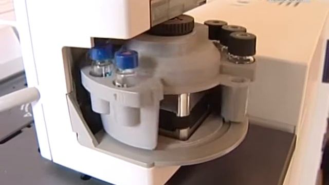 Кишечная палочка в котлетах