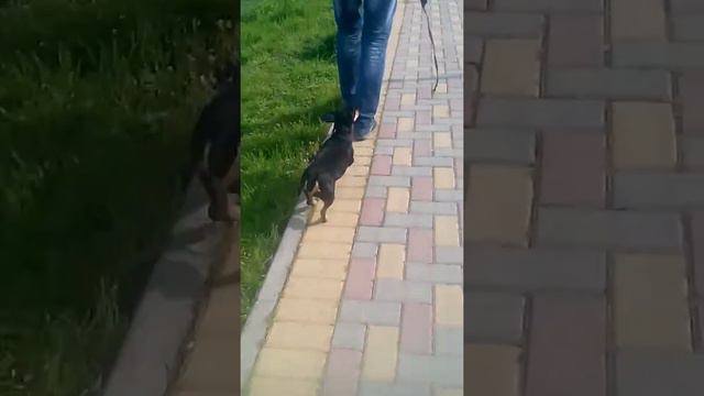 Как м смотреть онлайн