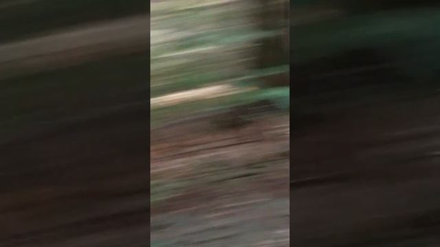 Влог. сборы и поездка в Красноярск. Лето. Август 2023❤?