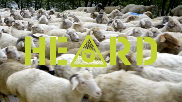 HERD | Announcement смотреть онлайн