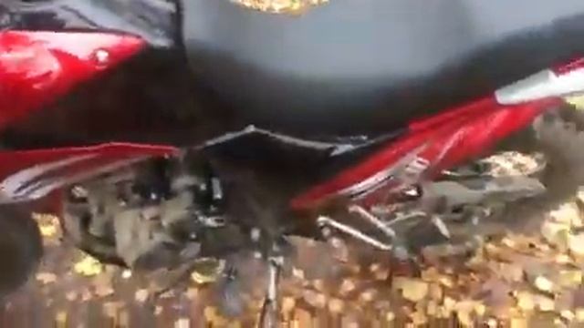 Мотоцикл ЗИД YX 250GY C5C 05 куплен с доставкой в Санкт Петербург смотреть онлайн