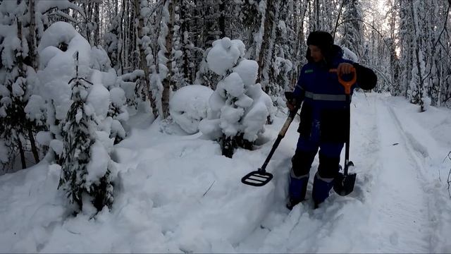 Живем в избушке. Добываем щит от трелёвочника. Зимний металлокоп! смотреть онлайн