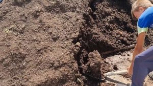Разводим калифорнийского червя, будем делать для себя биогумус.