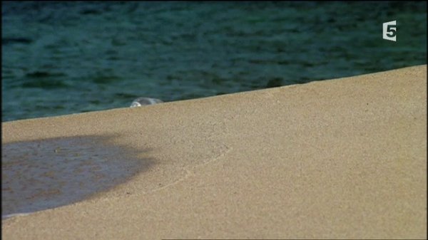 Le tour du monde en 90 minutes (2010)