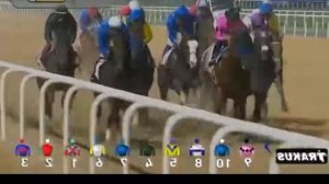 Скачки в Дубае