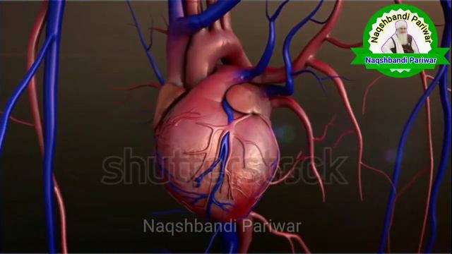 College Life Me "Hazrat Ji" Kese "Muraqaba" Karte the.Molana Shafiuddin Nadvi Naqshbandi смотреть онлайн