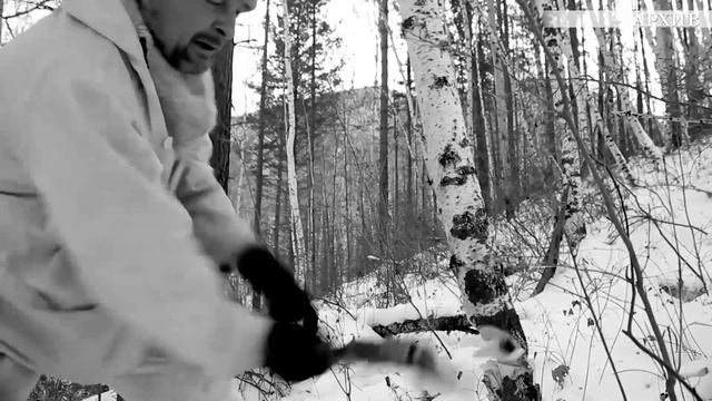 Охота на берлоге