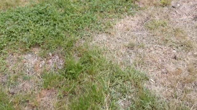 6. Сочи. Горное Лоо. Вечер. +15°C. 24.05.2022г.© смотреть онлайн