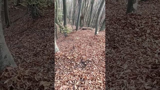 славянский зажим бревном