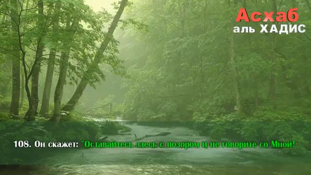 Мудрый Коран смотреть онлайн
