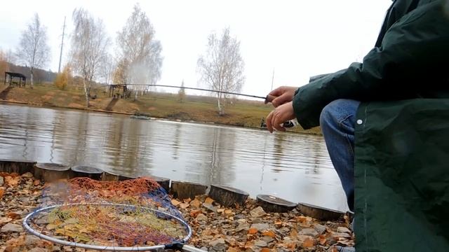 Рыбалка Золотой сазан смотреть онлайн