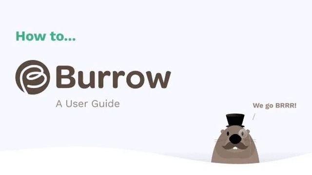 ОБЗОР НА BURROW смотреть онлайн