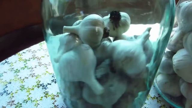 Когда убирать посаженный чеснок: 10 способов хранения