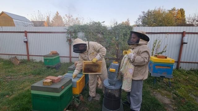 ? Термообработка пчёл от клеща Варроа Деструктор. Видео по пчеловодству для начинающих 2022 ? смотреть онлайн