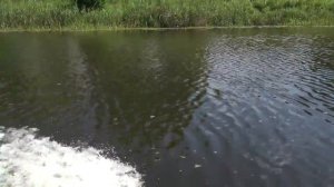 Река Солоница