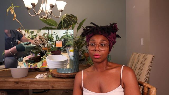 Plant Chat- Anthurium Regale Xanthosoma Caladium, Scindapsus and Plant Swap смотреть онлайн