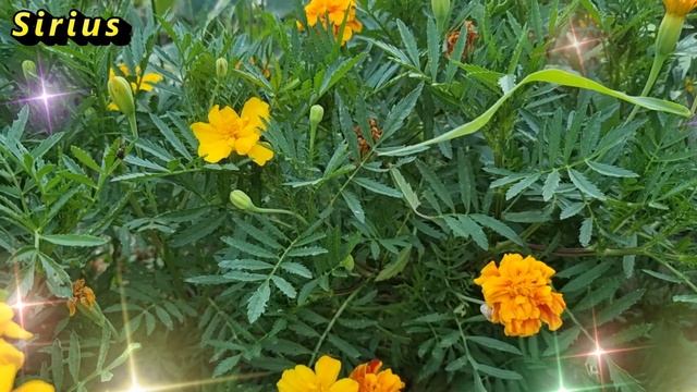 20 февраля – день Луки: что категорически нельзя делать смотреть онлайн