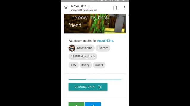Как сделать картинку со своим скином смотреть онлайн