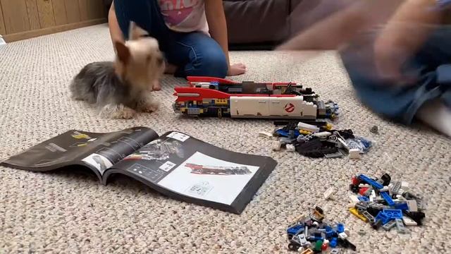 Lego Ghostbusters Ecto 1 (timelapse video) 10274 смотреть онлайн