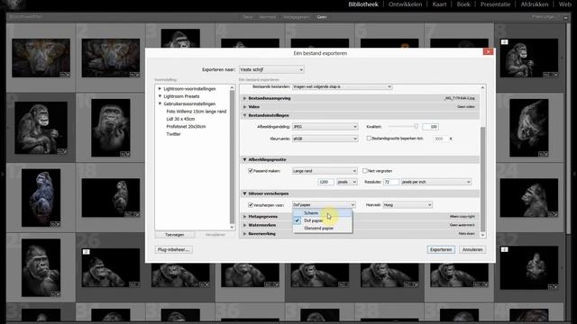 Lightroom 6 deel 8 : Exporteren van foto's naar de harde schijf of USB смотреть онлайн