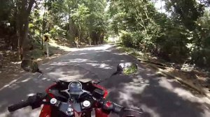 Honda Cbr 250R Review