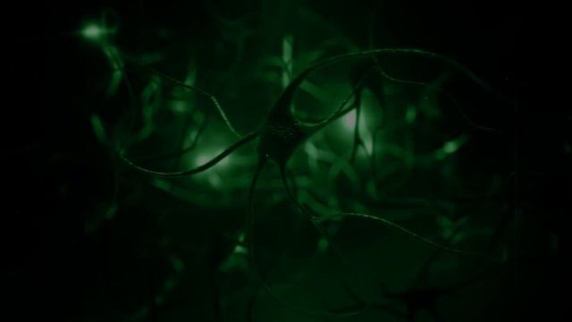 Реколл™ для поддержки мозговой деятельности смотреть онлайн
