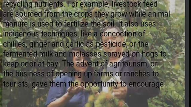 To Laguna couple, natural farming comes with a heart смотреть онлайн
