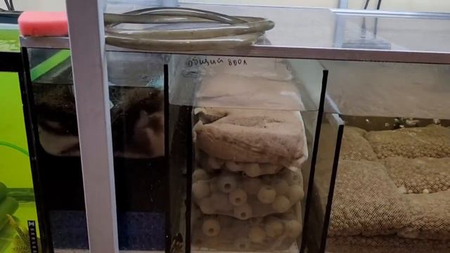 В гостях у Роменского Игоря город Александров. смотреть онлайн