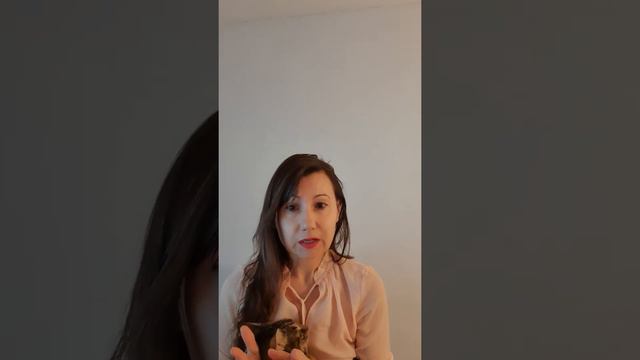 Как найти работу в Канаде? смотреть онлайн