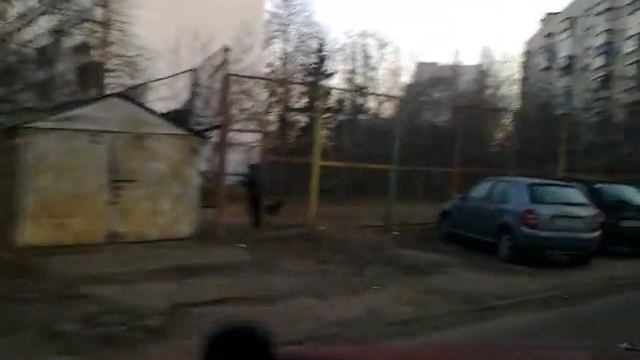 Собаки как проблема на дороге.wmv смотреть онлайн