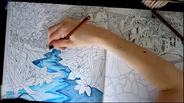 ОБЗОР МАГИЯ ГОРОДОВ | The Magical city | НОВАЯ Раскраска-антистресс смотреть онлайн