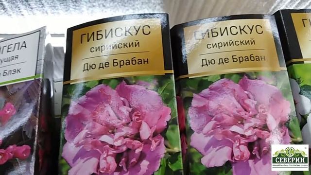 Новый приход! Гортензии, бузина, сирень и многое другое. Обзор 25.03.2021 г. смотреть онлайн