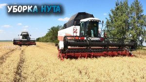 УБОРКА НУТА НА НОВОМ АКРОС 585