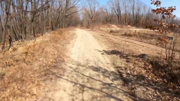 по лесу на питбайке Seven 125