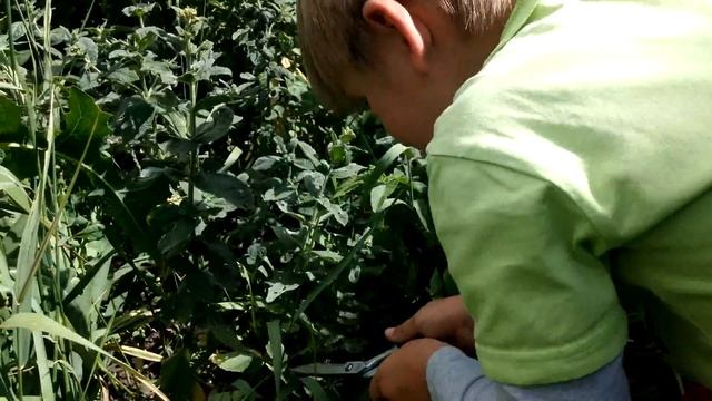 Искусство и Талантливость