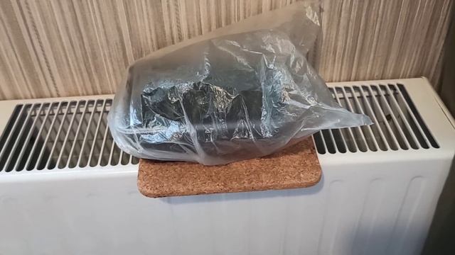 Как я стимулируют проращивание ? баклажанов. смотреть онлайн