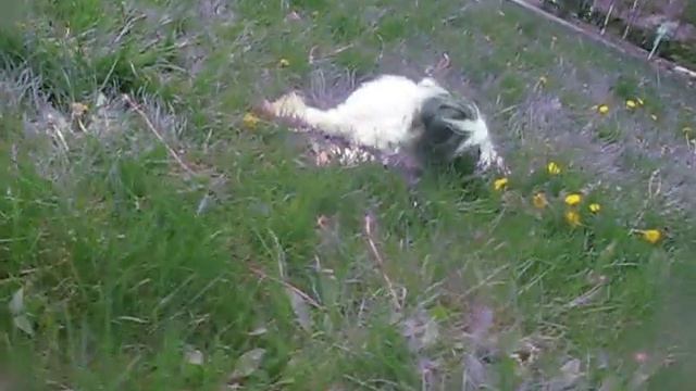 Изображение111111111111111 022 смотреть онлайн
