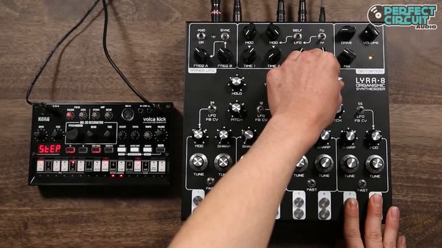 Lyra-8 Organismic Synthesizer With Volca Kick смотреть онлайн
