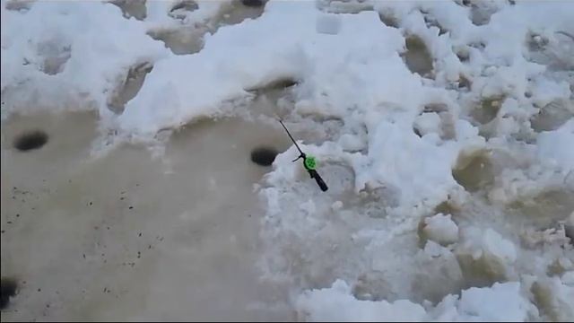 Рыбалим на озере.Сургутский район.(23/11/2019г) смотреть онлайн