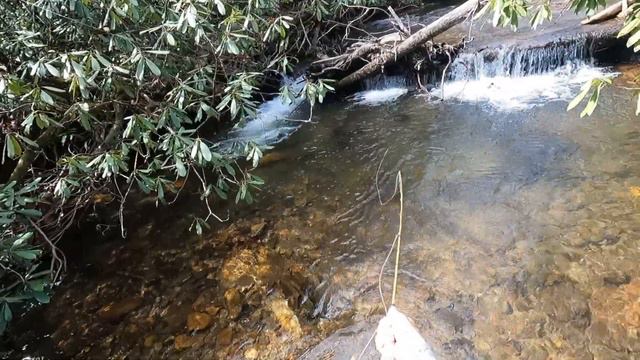 Fly Fishing for BROOK TROUT in the North Georgia Mountains смотреть онлайн