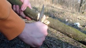 Mora 510 (самая бюджетная) Тест