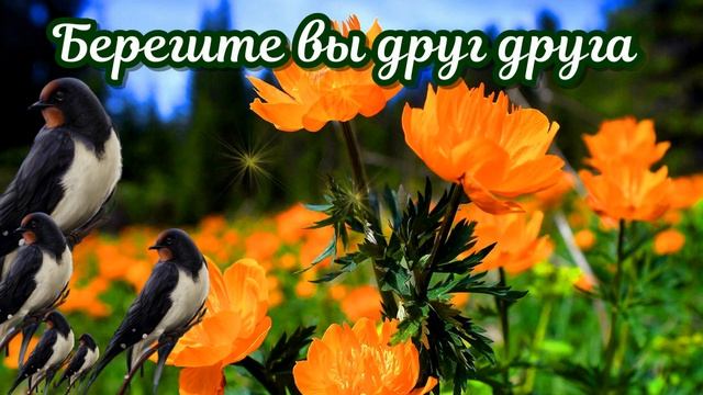 Красивое поздравление с днем семьи! 15 мая 2021 года - международный день семьи красиво поздравляю! смотреть онлайн